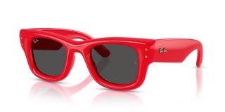 A$AP ROCKY X RAY-BAN WAYFARER PUFFER - POLISHED RED