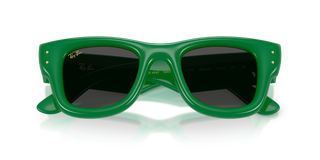 A$AP ROCKY X RAY-BAN WAYFARER PUFFER - POLISHED GREEN