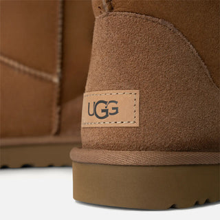 WMNS CLASSIC SHORT II - CHESTNUT