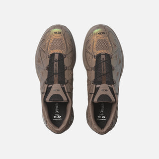 XT-WHISPER VOID - WALNUT / WALNUT
