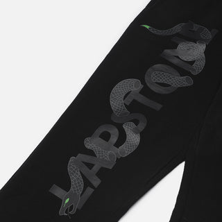 "YEAR OF THE SNAKE" FLARE PANTS - JET BLACK